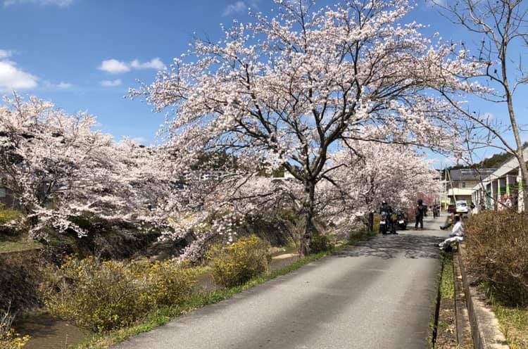周山 4月16日