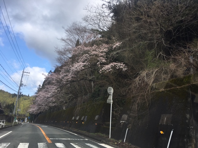 笠トンネル 4月15日