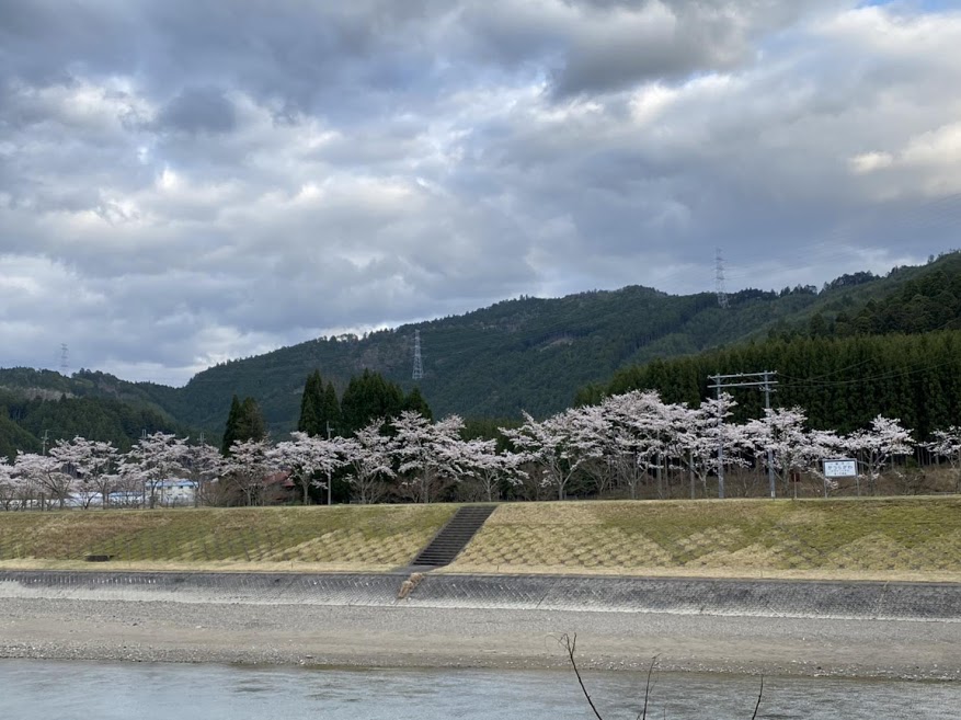 2.4.5栃本 栃本 4月5日
