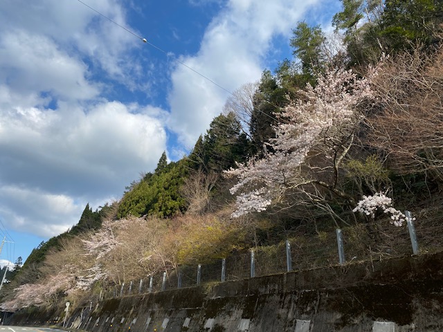 細野 4月6日